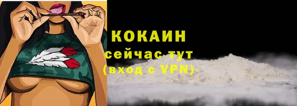 эйфоретик Ладушкин