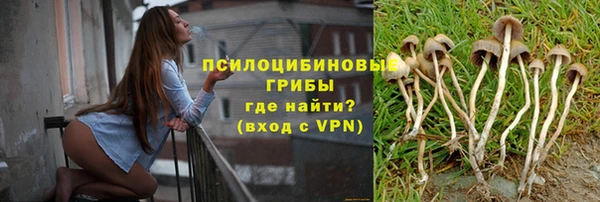 винт Новокубанск