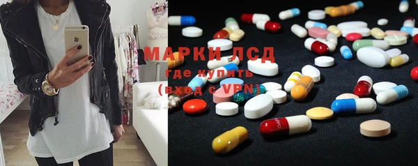 PSILOCYBIN Майский