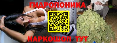 spice Заводоуковск