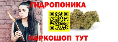 spice Заводоуковск