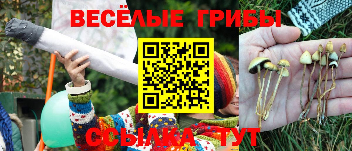 Псилоцибиновые грибы Magic Shrooms  цены   Кунгур 