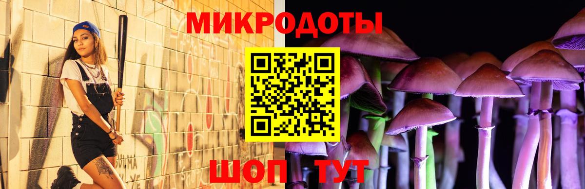 наркота  Галлюциногенные грибы прущие грибы  Вход с VPN  Псилоцибиновые грибы Psilocybe  Кунгур 